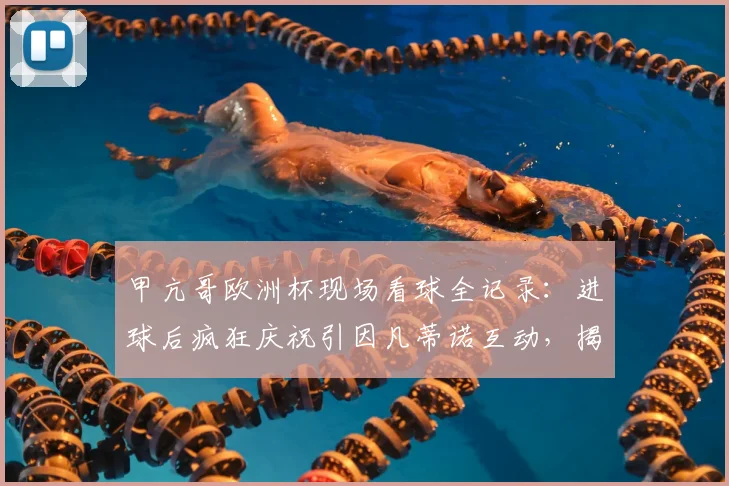 甲亢哥欧洲杯现场看球全记录：进球后疯狂庆祝引因凡蒂诺互动，揭秘其真实身份与爆火原因