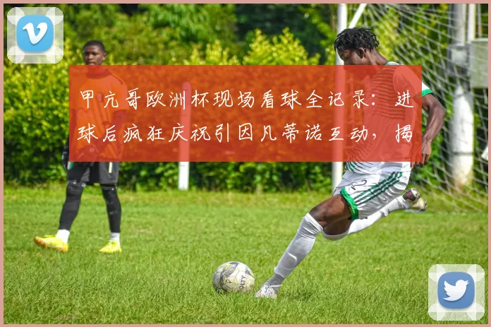 甲亢哥欧洲杯现场看球全记录:进球后疯狂庆祝引因凡蒂诺互动,揭秘其真实身份与爆火原因