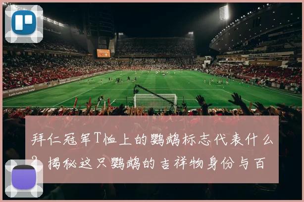 拜仁冠军T恤上的鹦鹉标志代表什么?揭秘这只鹦鹉的吉祥物身份与百年俱乐部传统