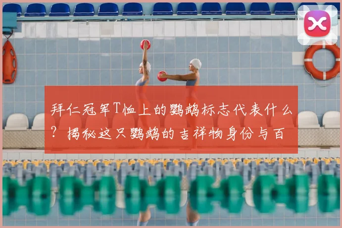 拜仁冠军T恤上的鹦鹉标志代表什么？揭秘这只鹦鹉的吉祥物身份与百年俱乐部传统